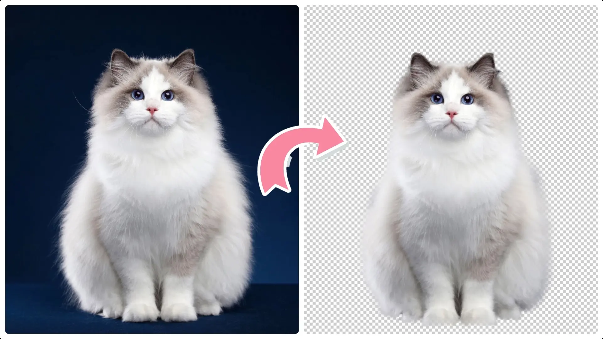 Extract Cats from Photos with Photoshop