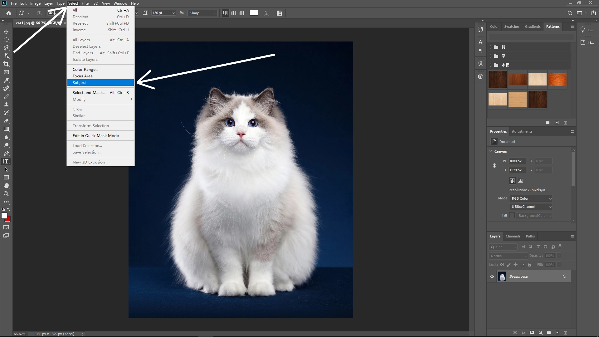 Extract Cats from Photos with Photoshop: Step 1