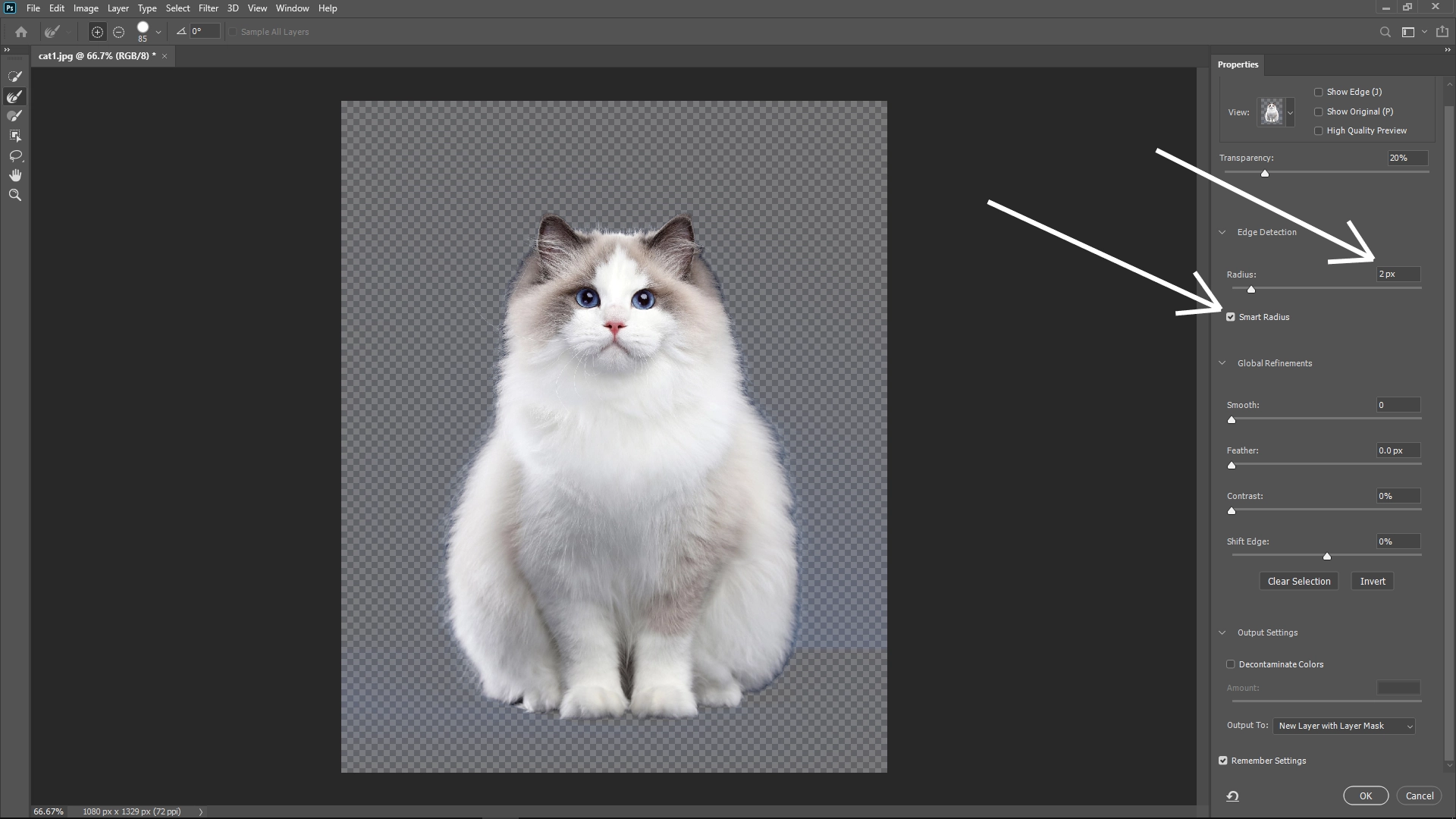 Extract Cats from Photos with Photoshop: Step 3