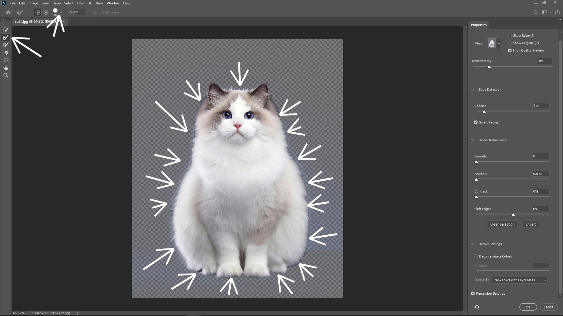 Extract Cats from Photos with Photoshop: Step 4