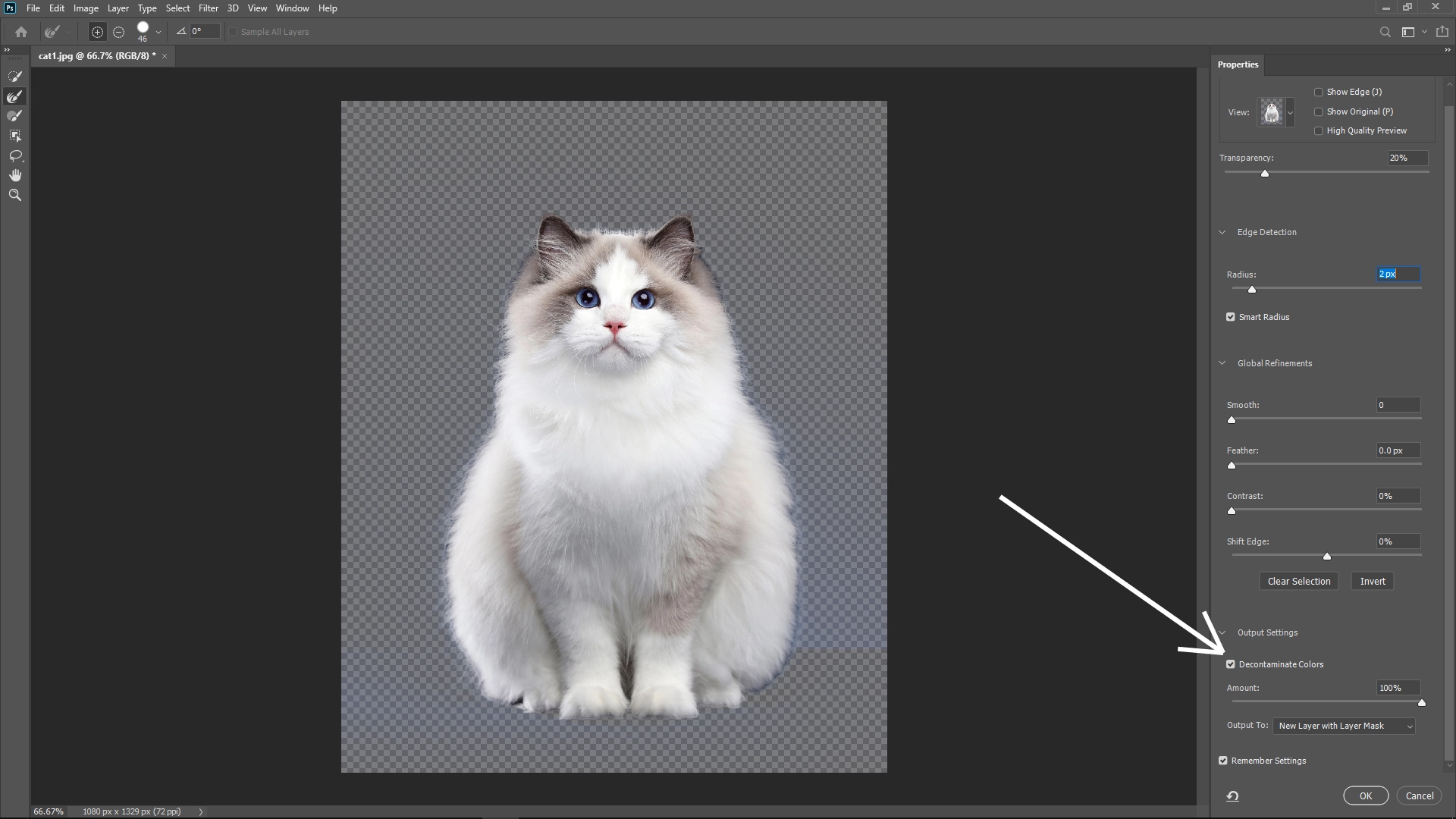 Extract Cats from Photos with Photoshop: Step 5