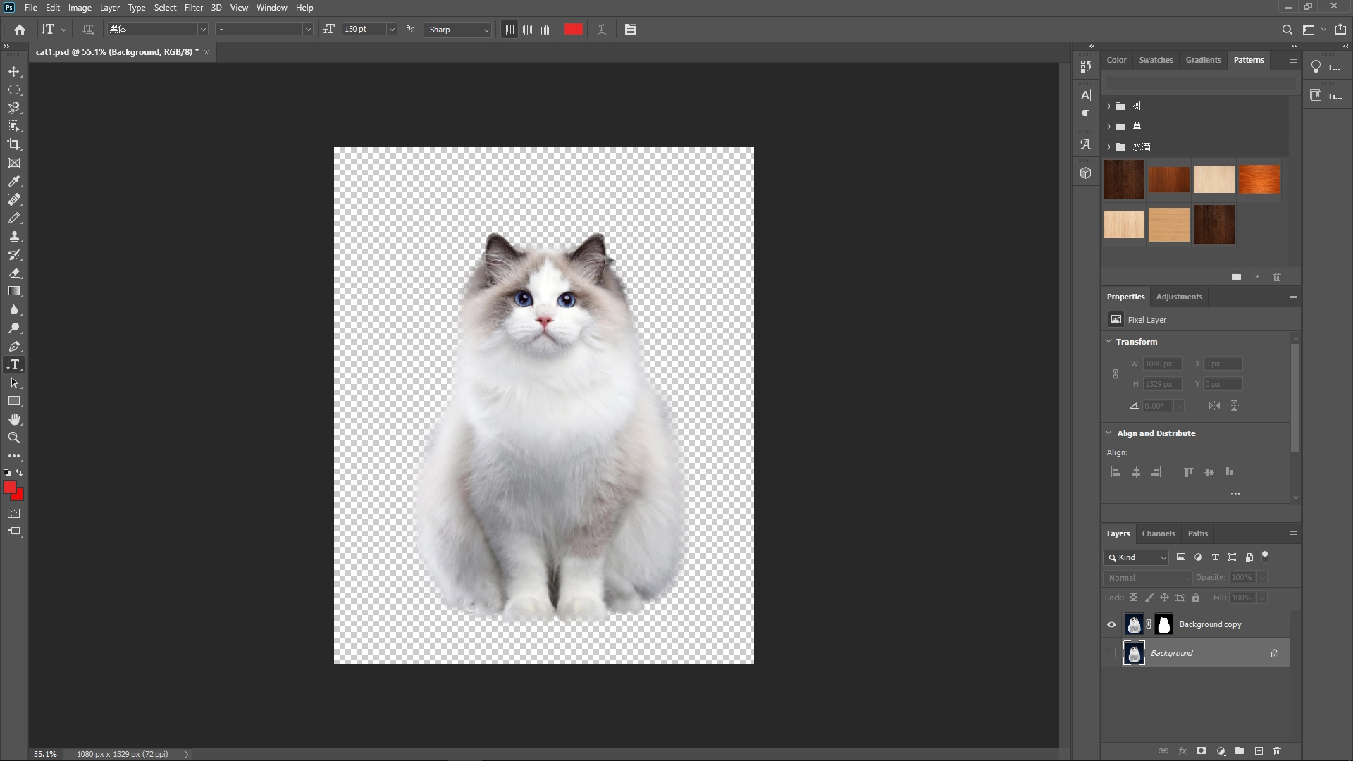 Extract Cats from Photos with Photoshop: Step 6