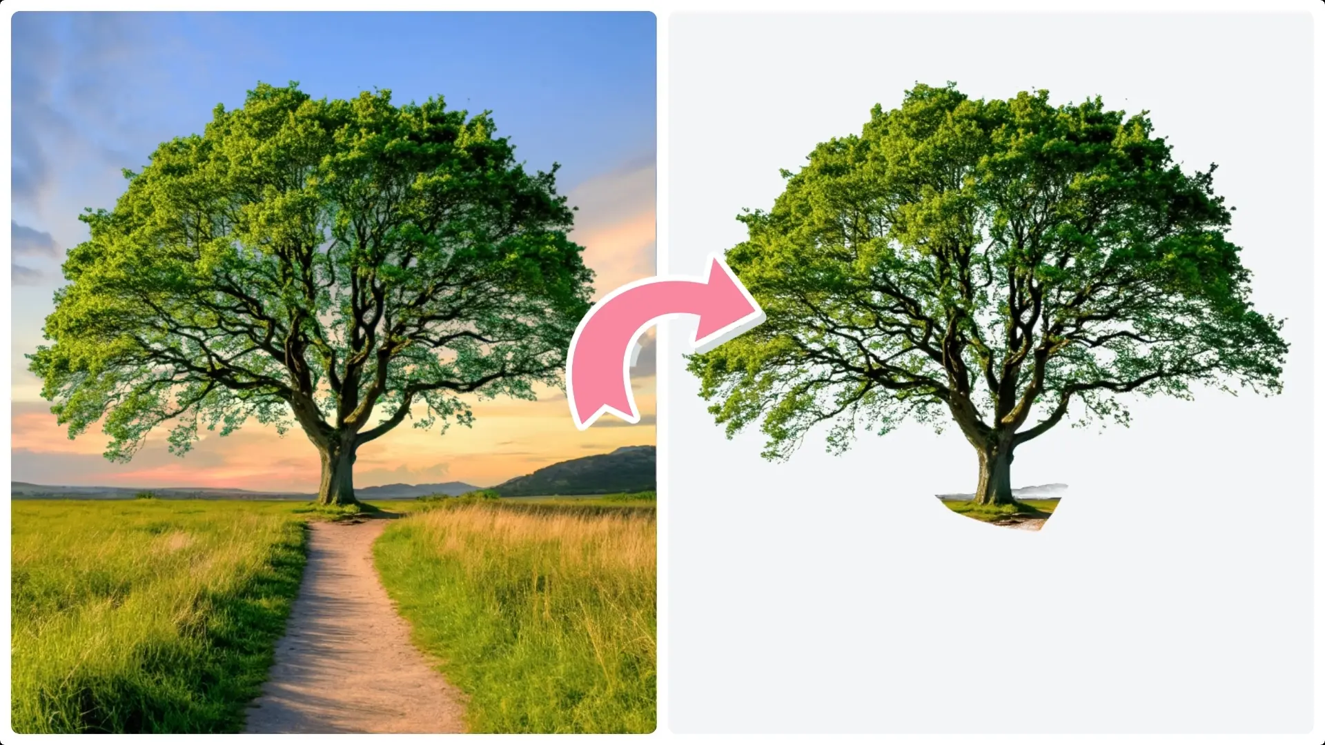 Extracting Trees with Complex Edges Using Channels in Photoshop