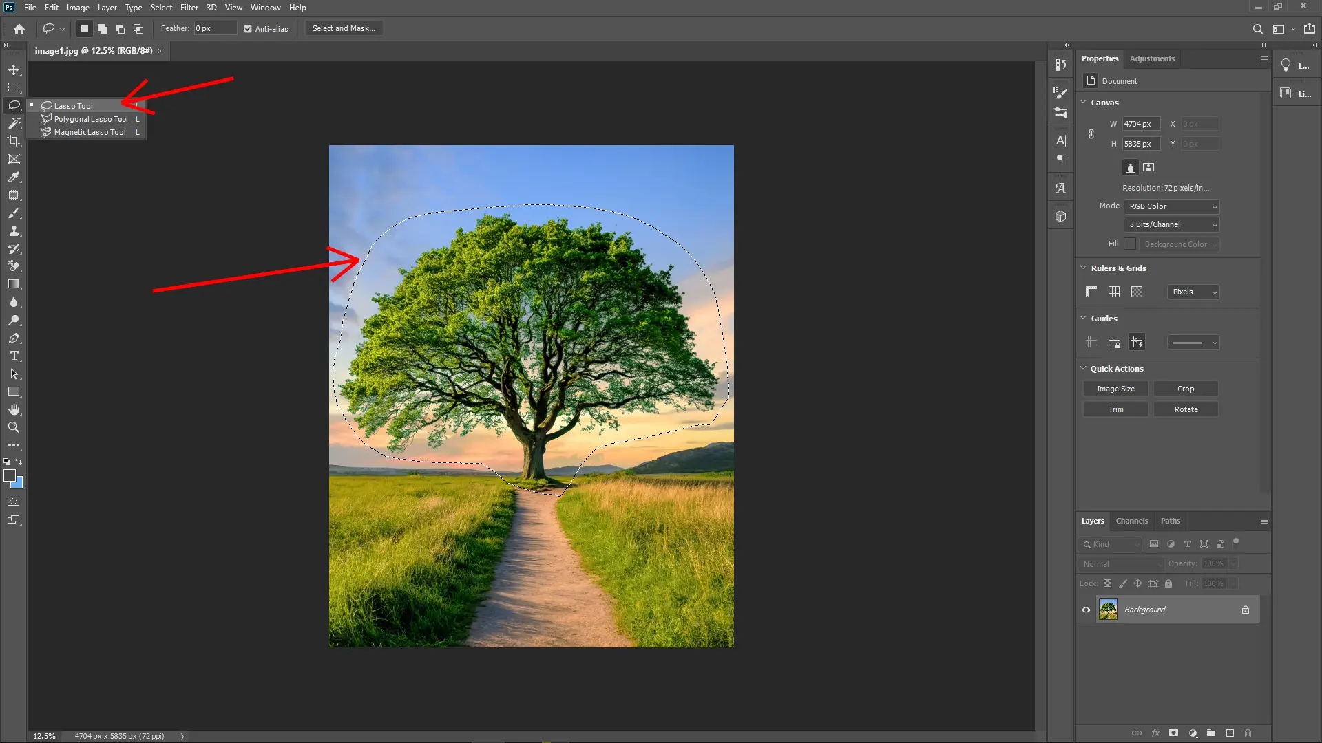 Extracting Trees with Complex Edges Using Channels in Photoshop: Step 1