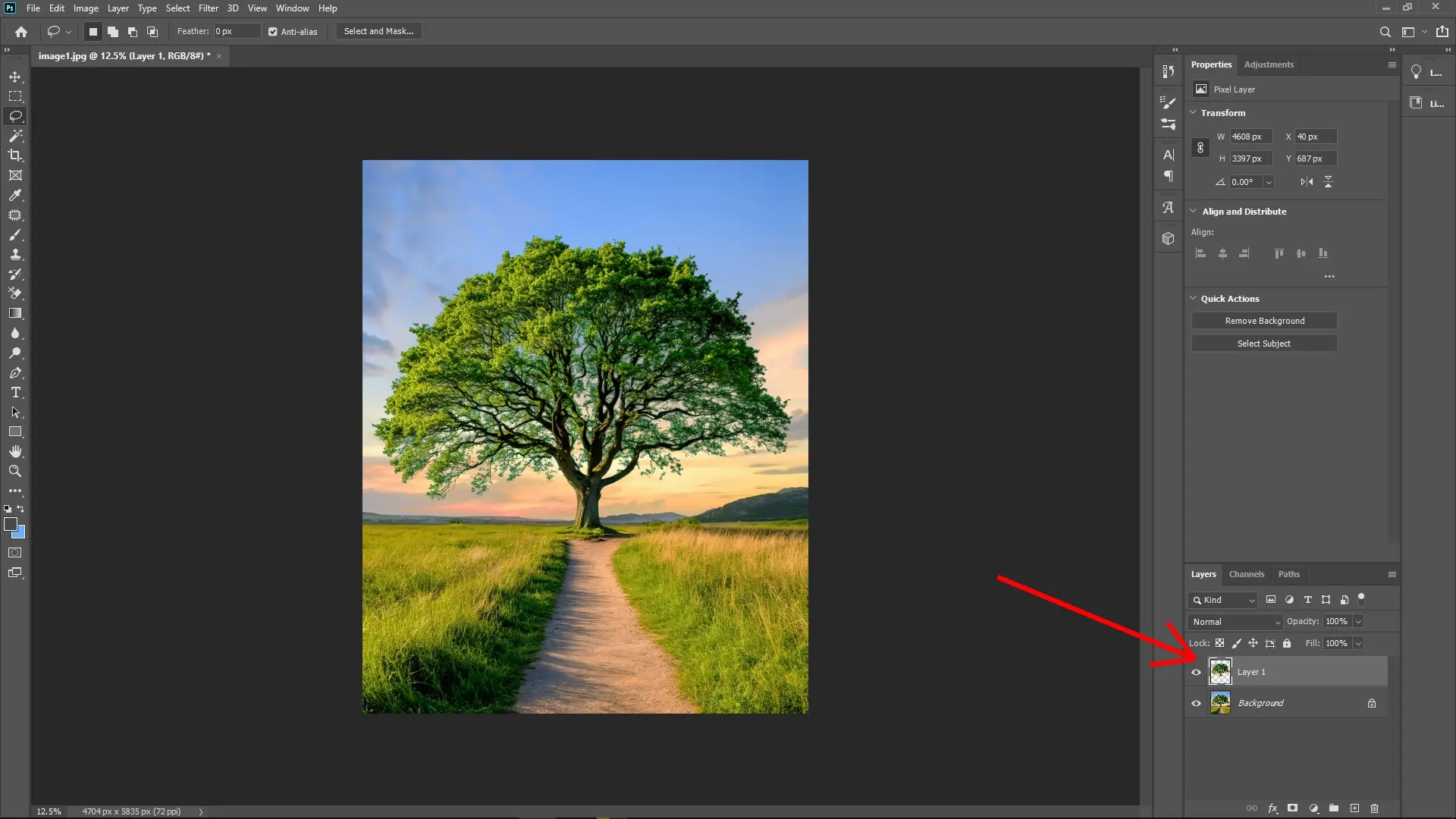 Extracting Trees with Complex Edges Using Channels in Photoshop: Step 2