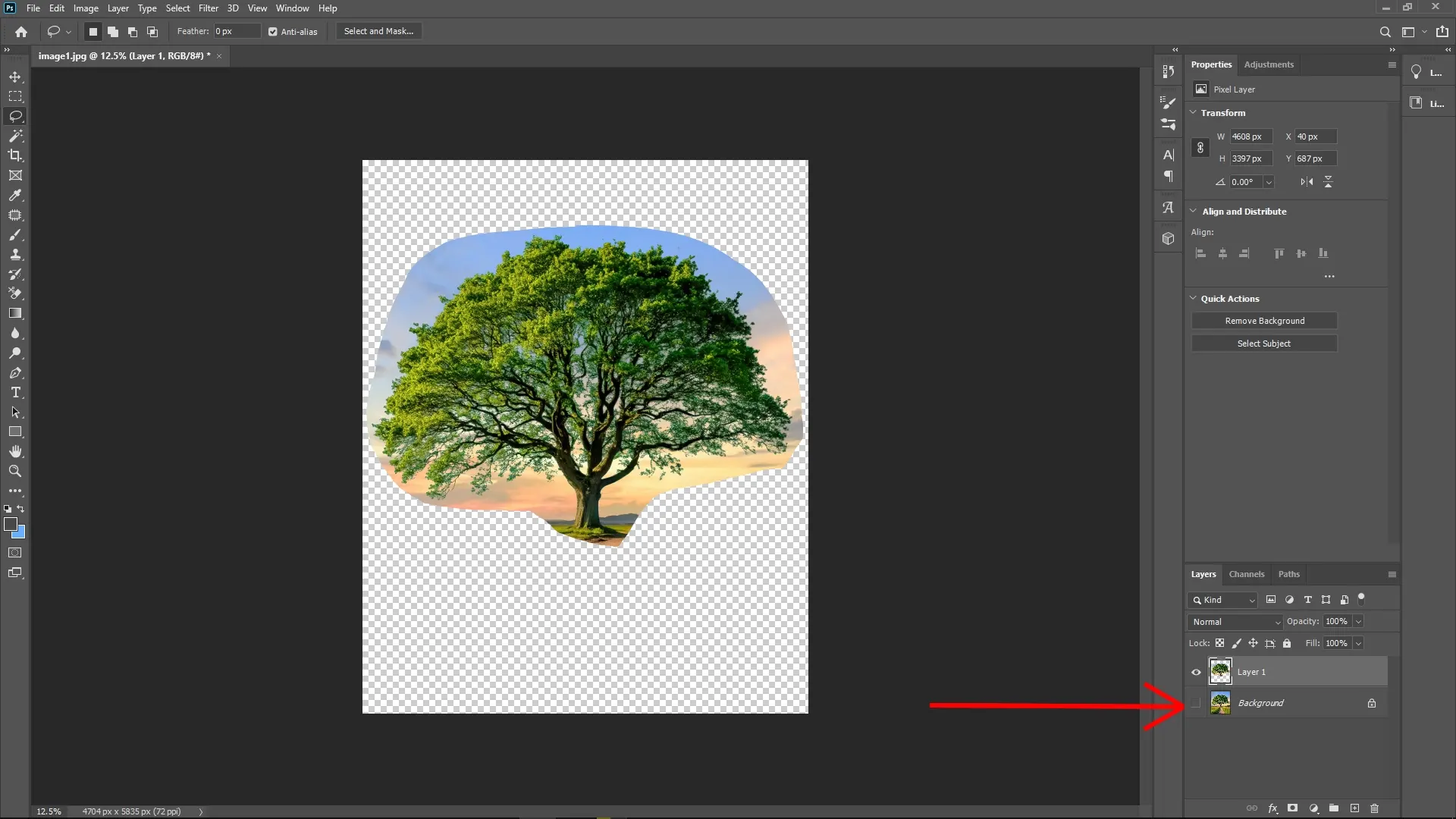 Extracting Trees with Complex Edges Using Channels in Photoshop: Step 3