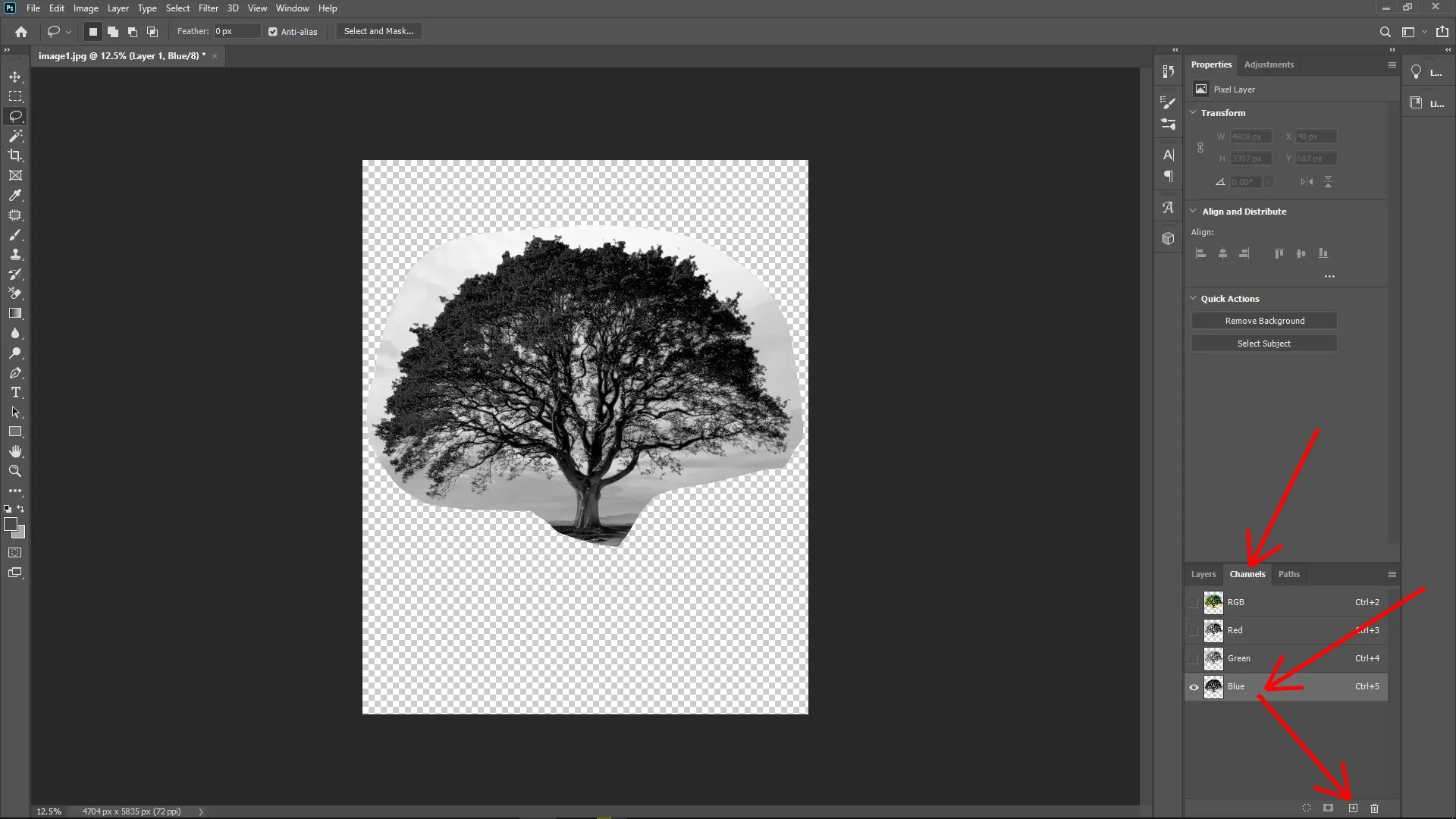Extracting Trees with Complex Edges Using Channels in Photoshop: Step 5