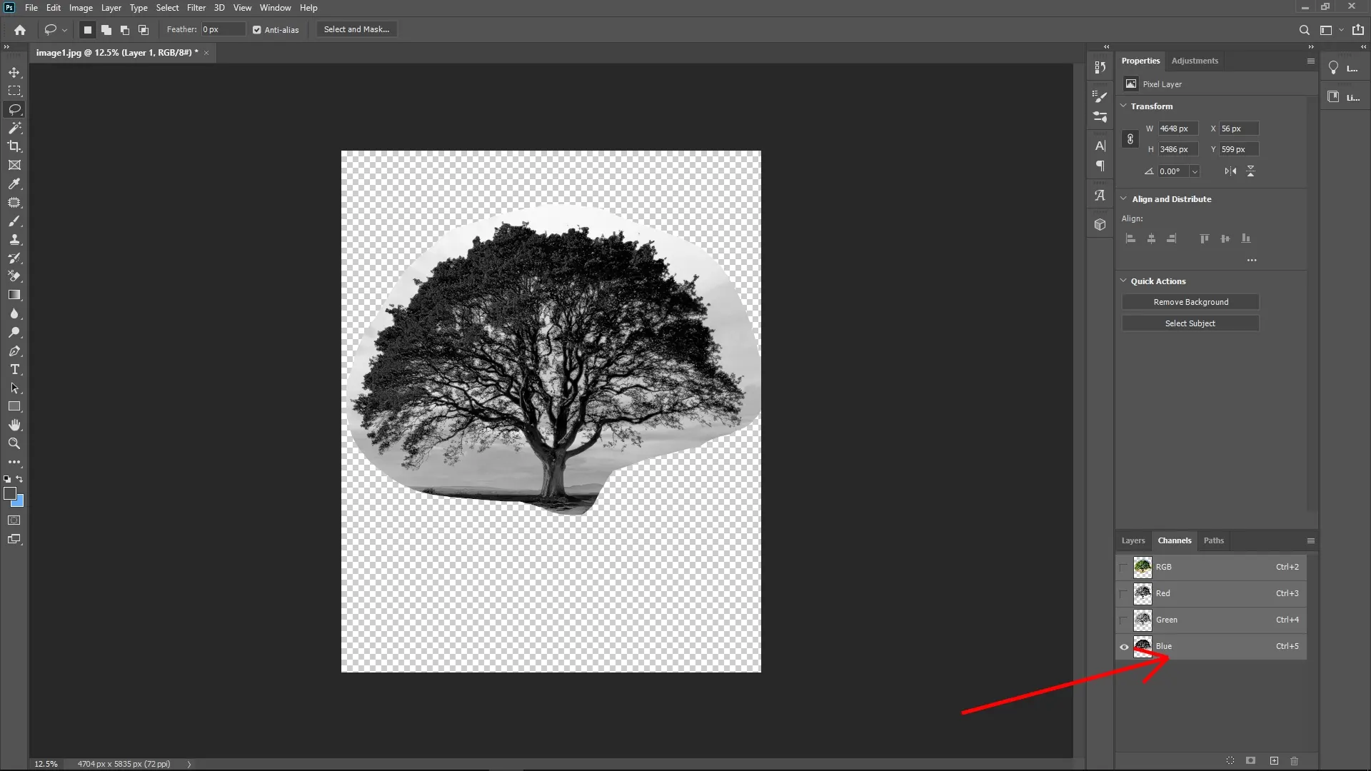 Extracting Trees with Complex Edges Using Channels in Photoshop: Step 4