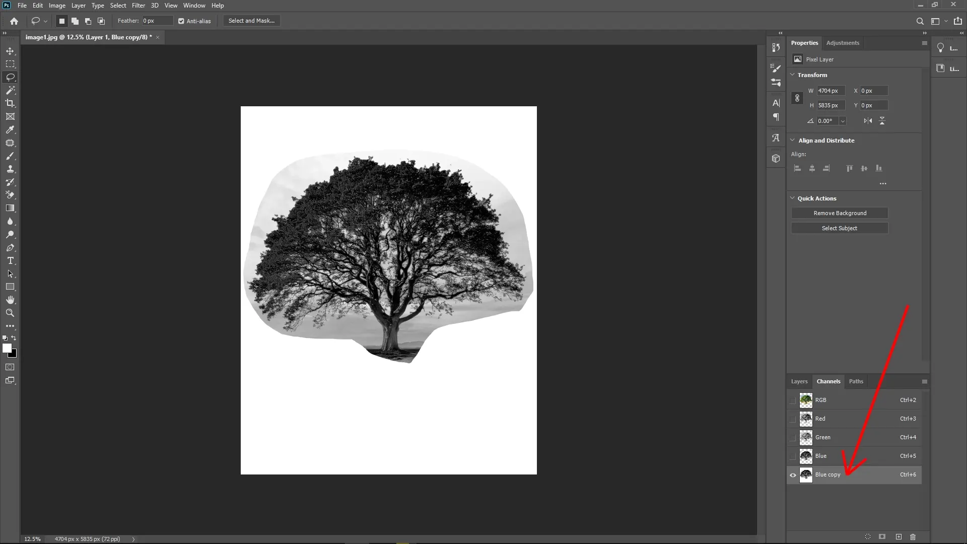 Extracting Trees with Complex Edges Using Channels in Photoshop: Step 6