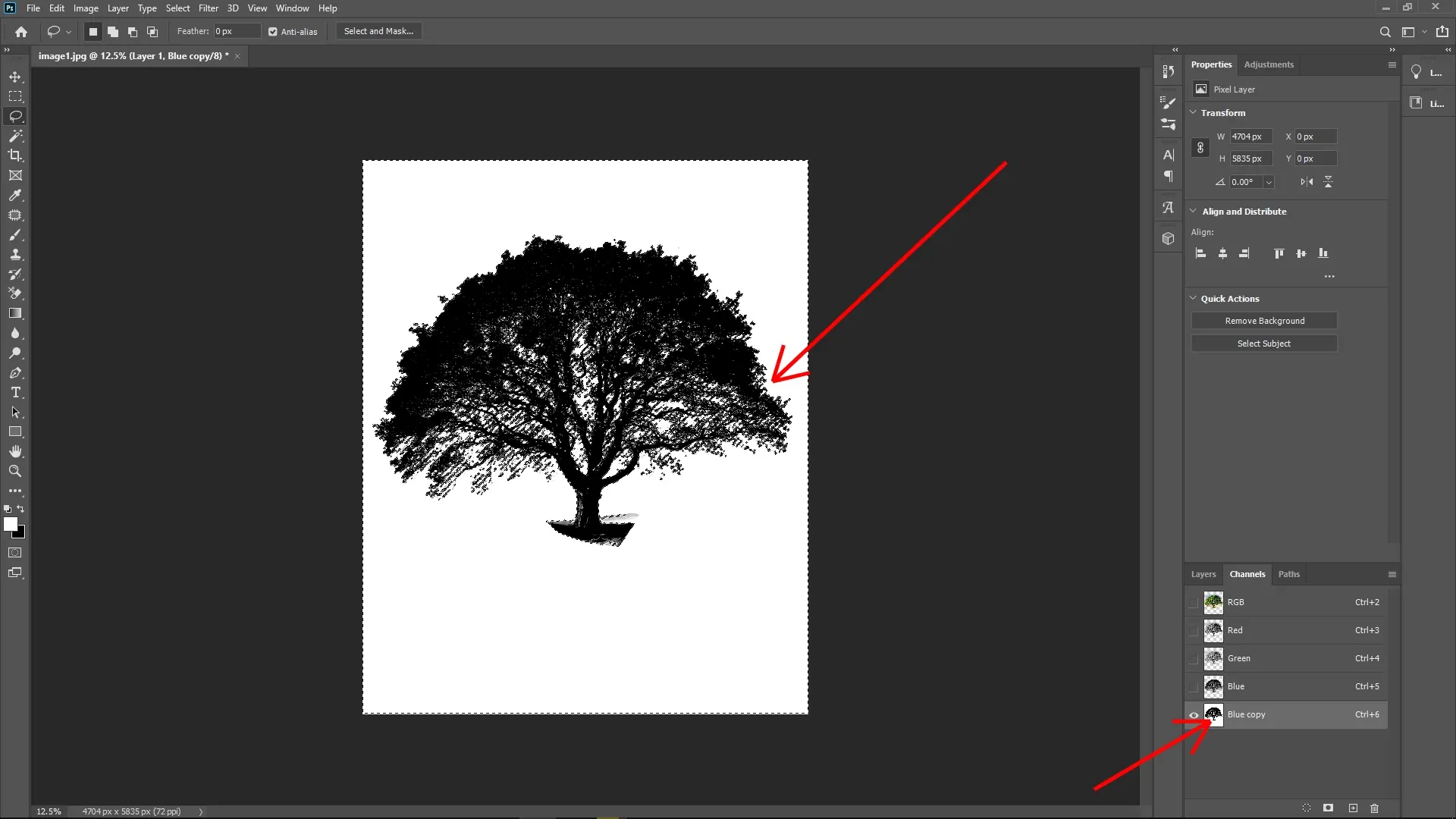 Extracting Trees with Complex Edges Using Channels in Photoshop: Step 7