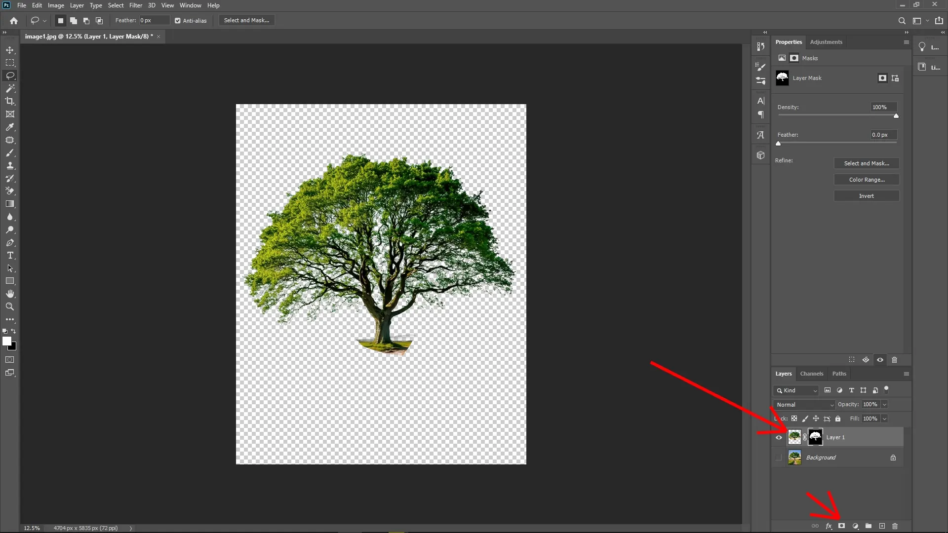 Extracting Trees with Complex Edges Using Channels in Photoshop: Step 8