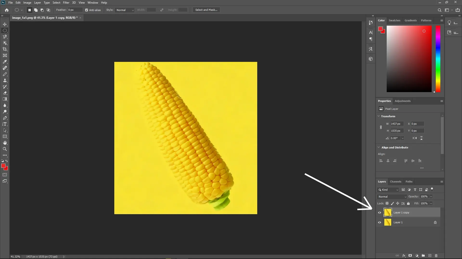 How to Extract a Subject with a Similar Color Background in Photoshop: Step 1