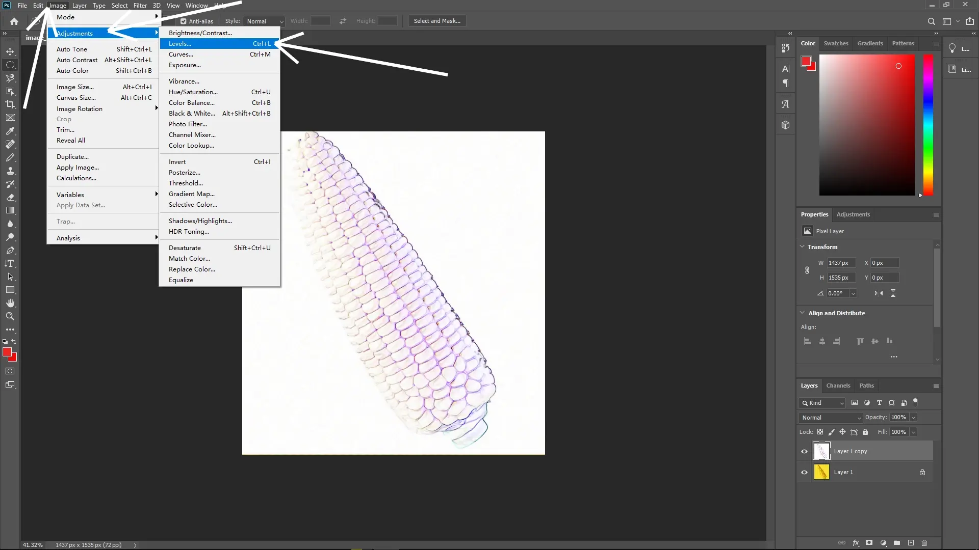 How to Extract a Subject with a Similar Color Background in Photoshop: Step 3-1