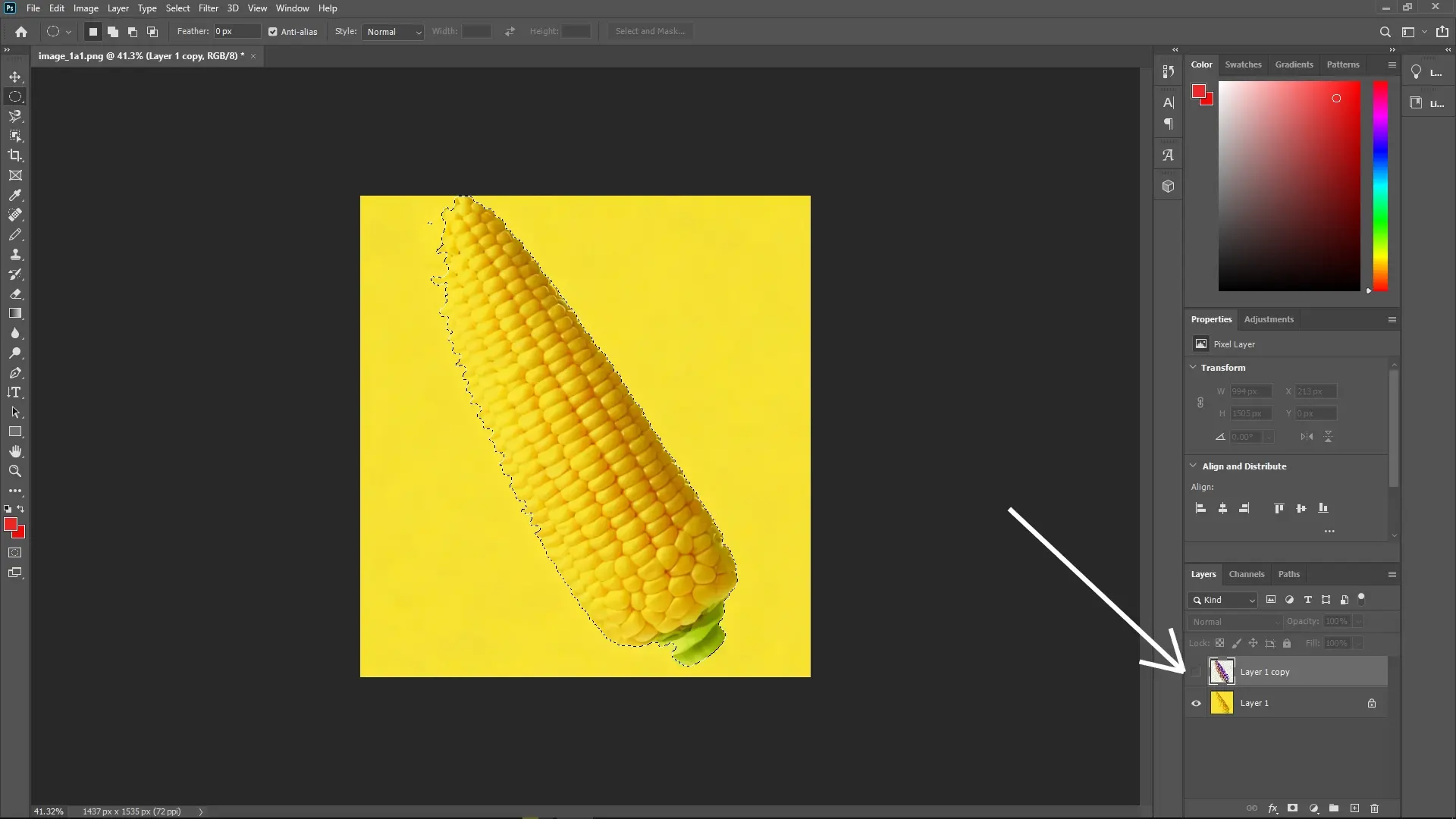 How to Extract a Subject with a Similar Color Background in Photoshop: Step 5